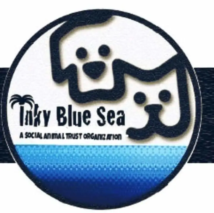 Transport Volunteer