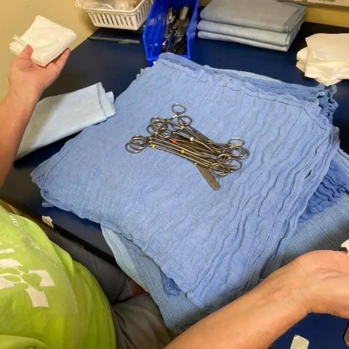 Spay/Neuter Clinic Assistant