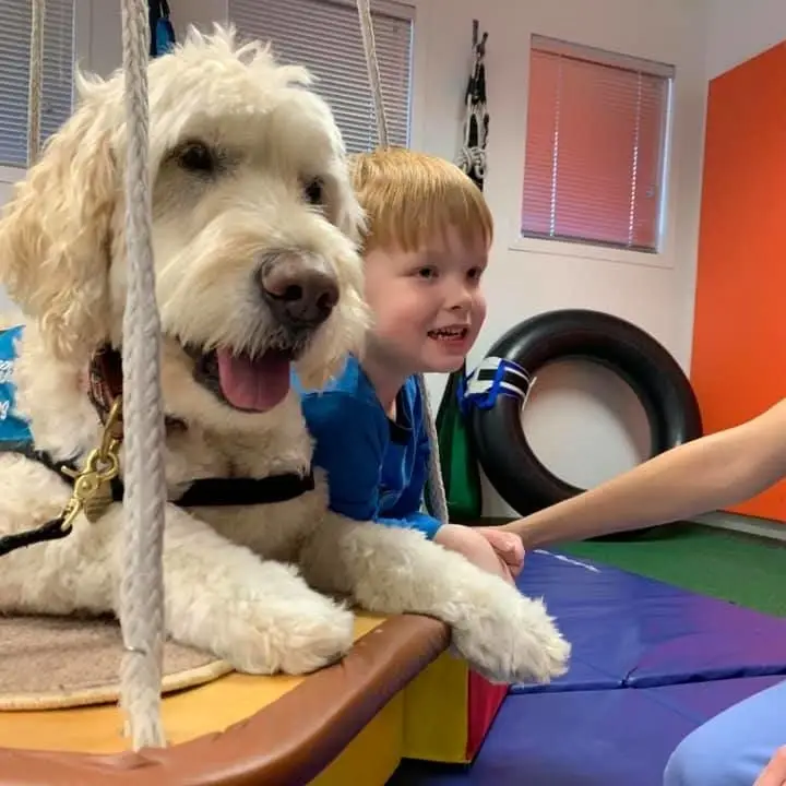 Volunteer with your pet! Help individuals with special needs in Peoria.