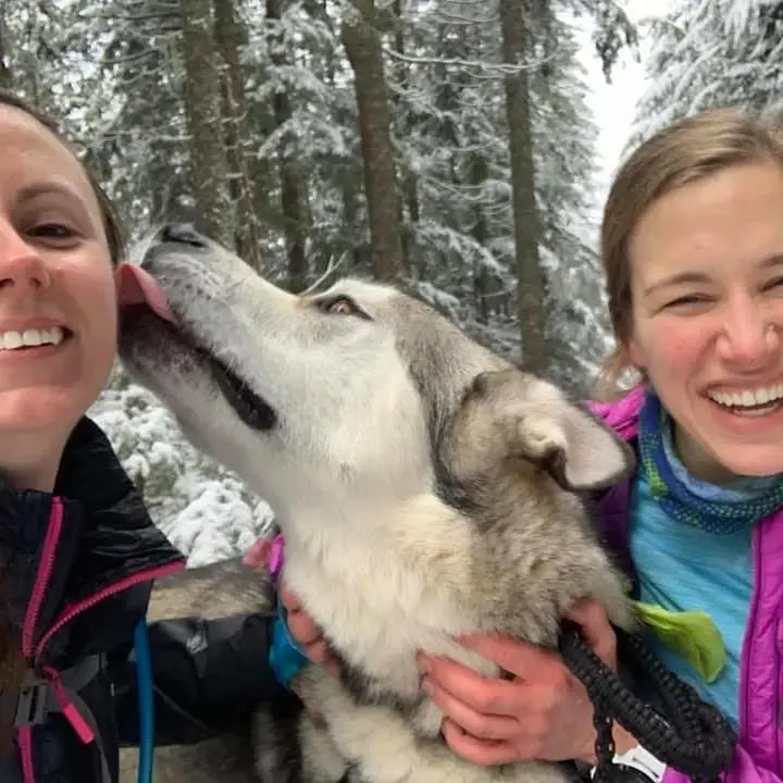 Dog Walking and Socialization