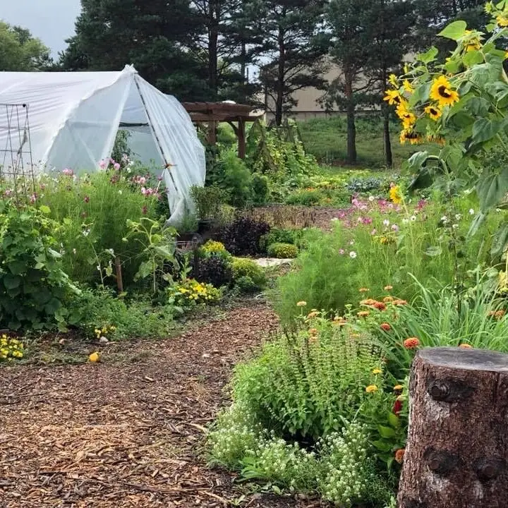 Food pantry garden volunteer work
