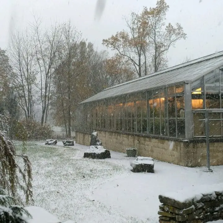 Greenhouse Volunteer