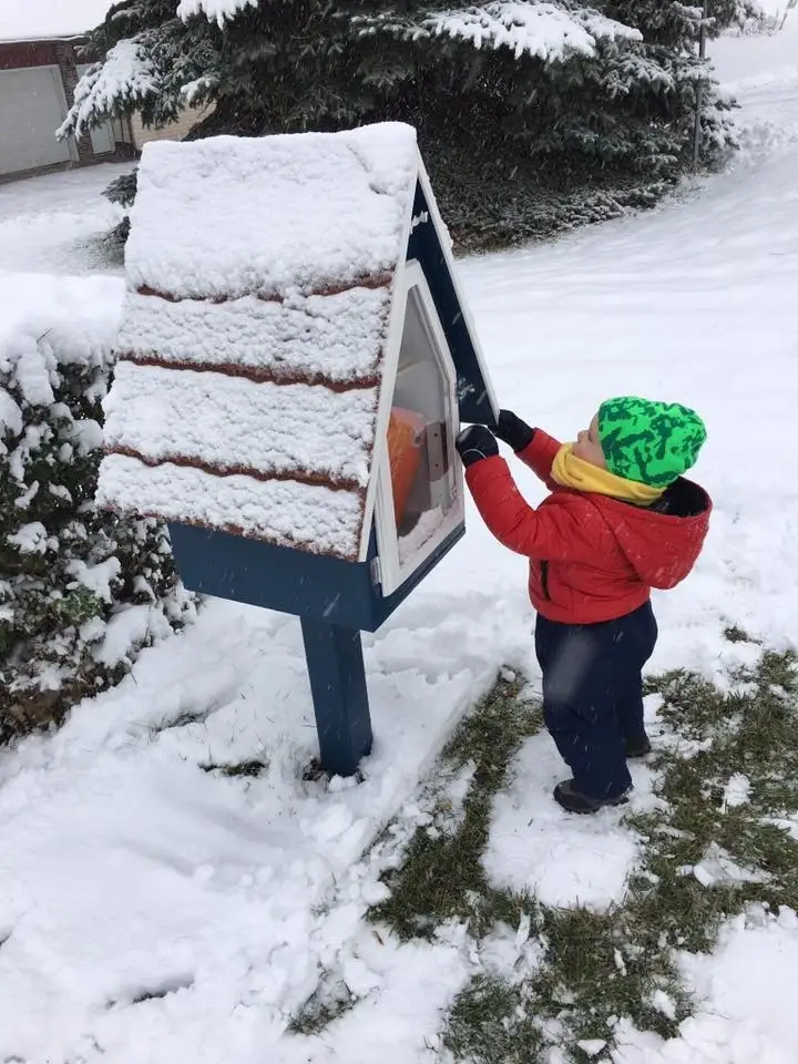 Deliver books to Little Free Libraries during winter break