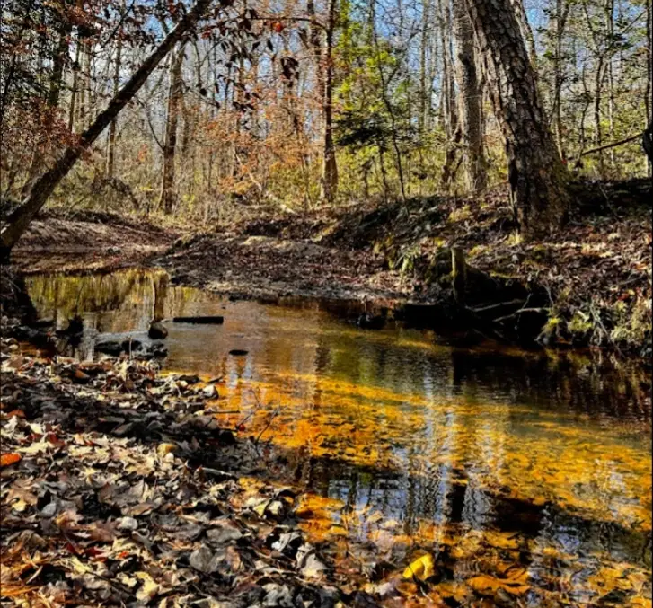 Help Create a Nature Trail, Sensory Garden & Memorial Space