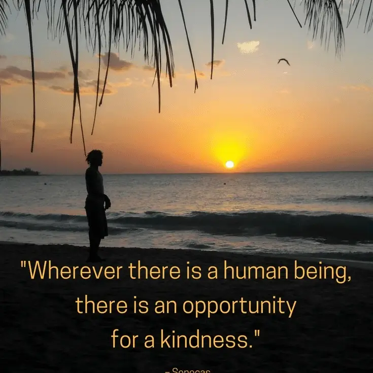 Volunteer needed for hospice patients located in Avon IN