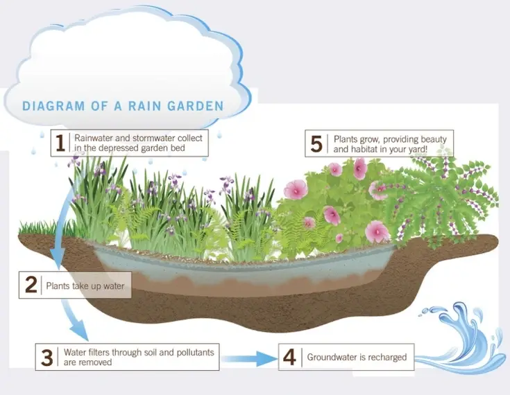 Brilliant Detroit 2026 Rain Garden Installation Project