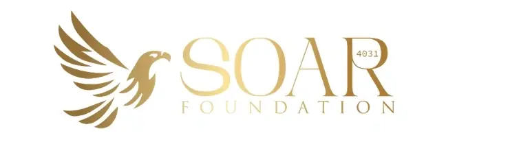 website developer/ content creator