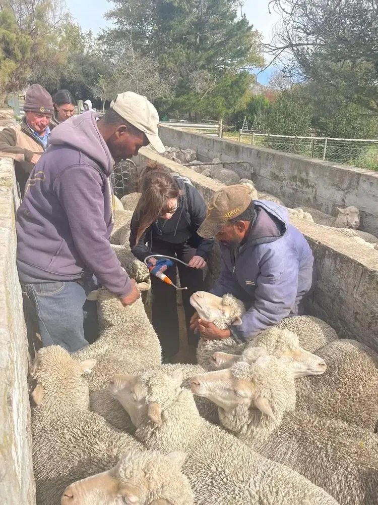 Pre Vet & Safari Eastern Cape