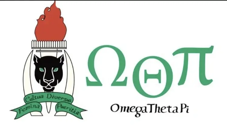 flyers and print graphic design