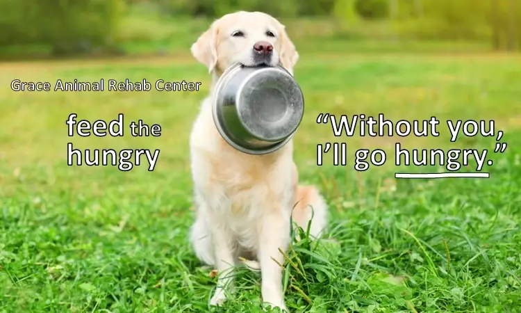 Adoption Coordinator