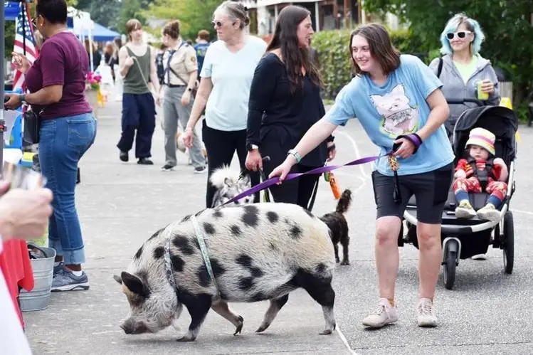 Volunteer Opportunities for Jam on The River 2026 - A Family Friendly Community Festival
