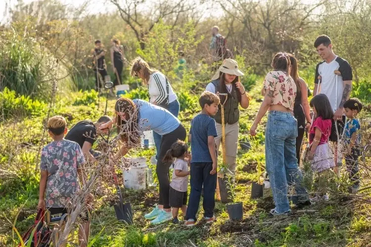 Un grupo de personas plantan árboles