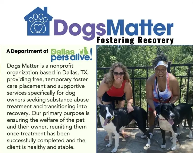 Street-to-Social Media Volunteer (Los Angeles, CA - Hybrid)