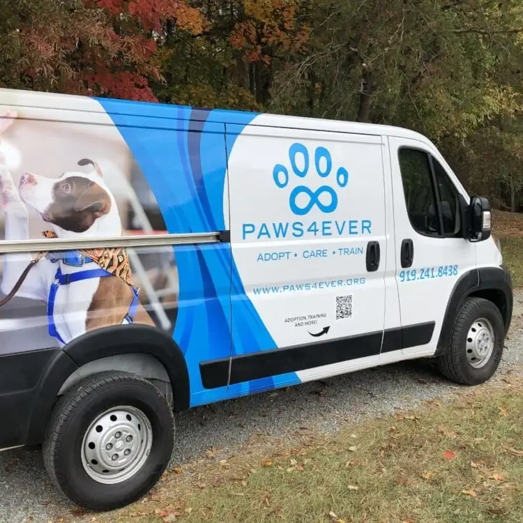 Transportation Volunteer