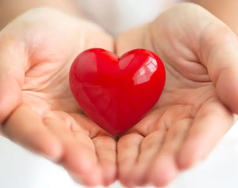Have You Ever Thought About Becoming a Hospice Volunteer?