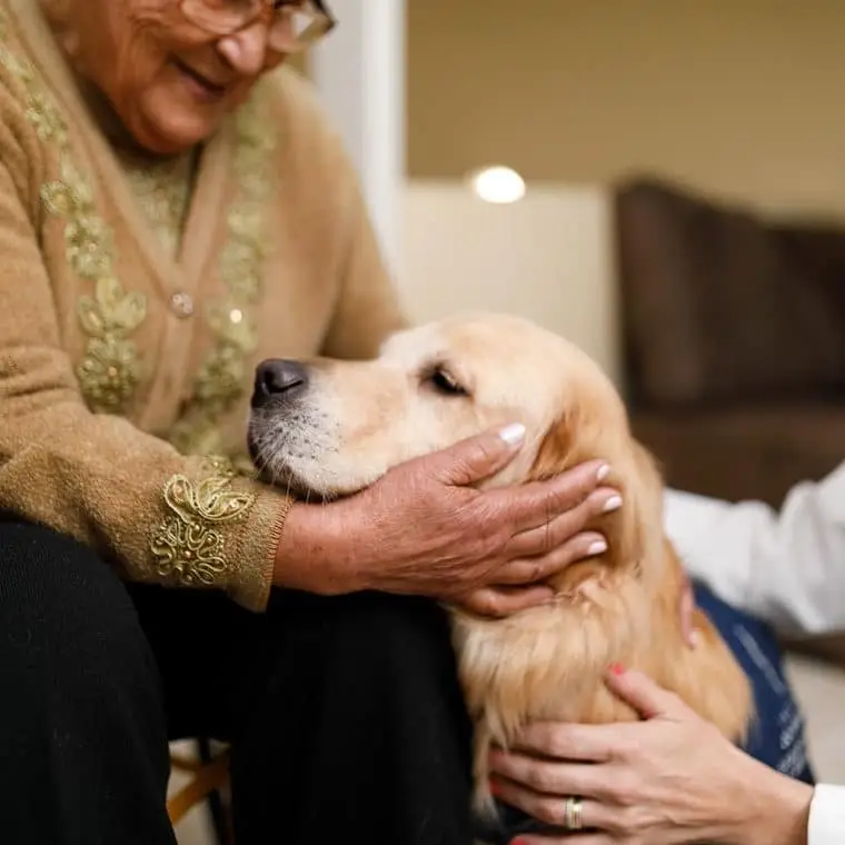 Therapy Dogs - making friends & creating smiles with pets