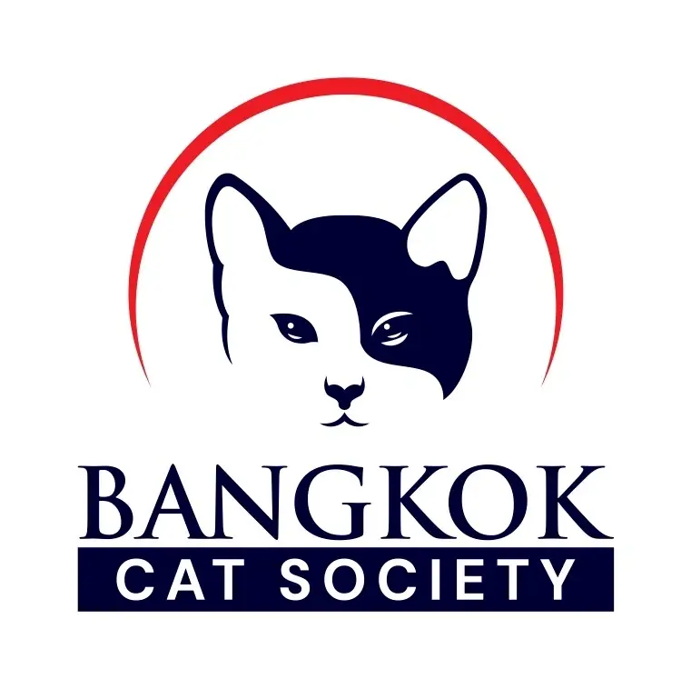Volunteer Fundraiser for Street Cat Welfare in Bangkok