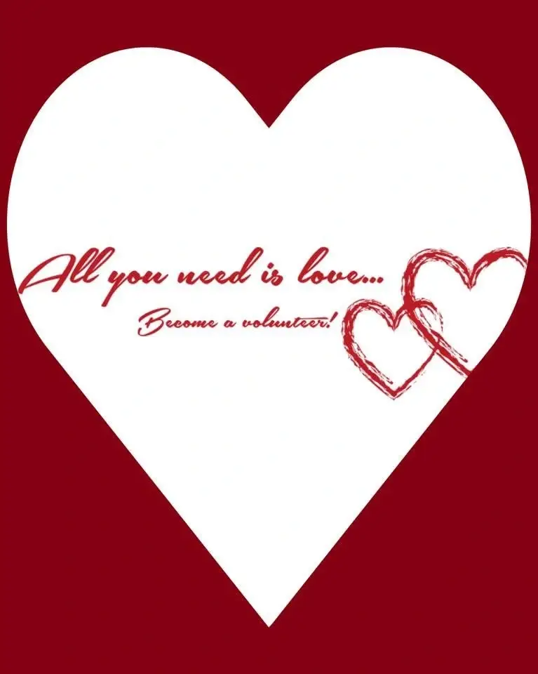 Adopt A Senior Easley SC- Friendly Visit Volunteers for the Elderly