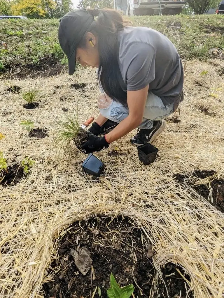 Conservation: Help Restore Green Spaces