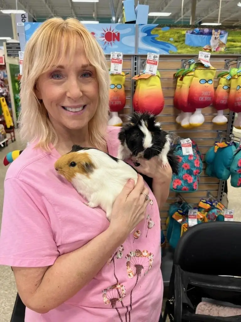 Volunteer with a Non profit Rescue