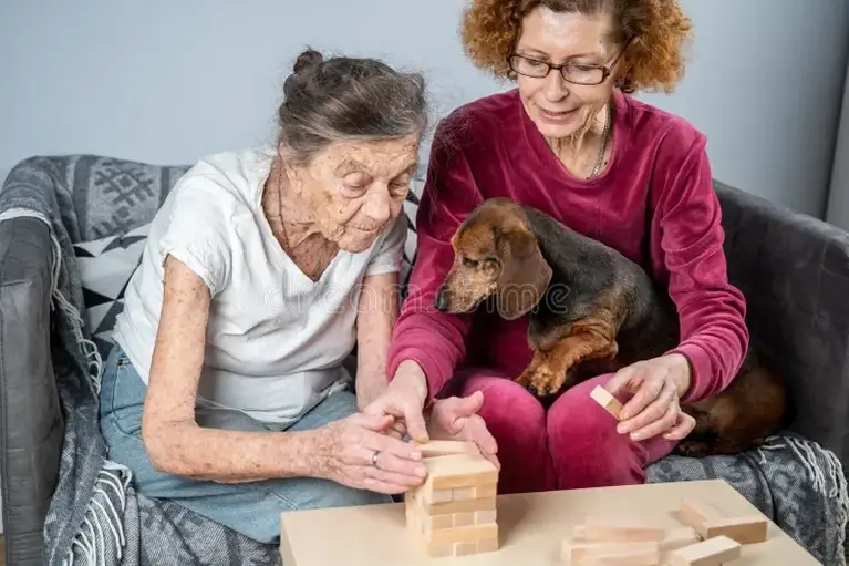 Animal-Assisted Therapy Teams