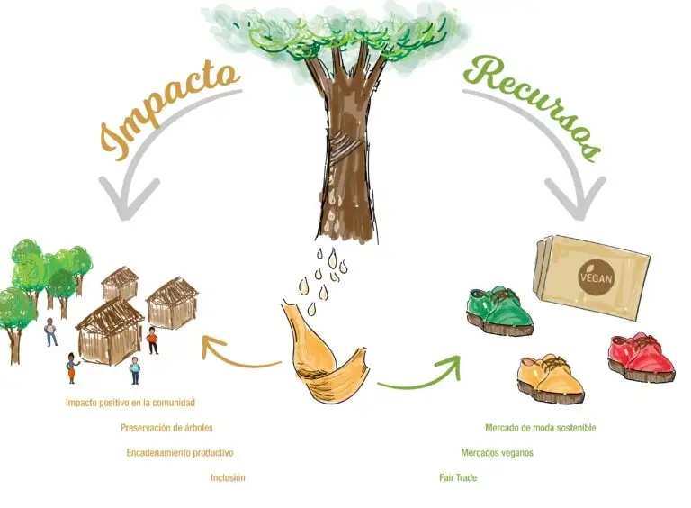 infografía sobre intercambio de impacto por recursos