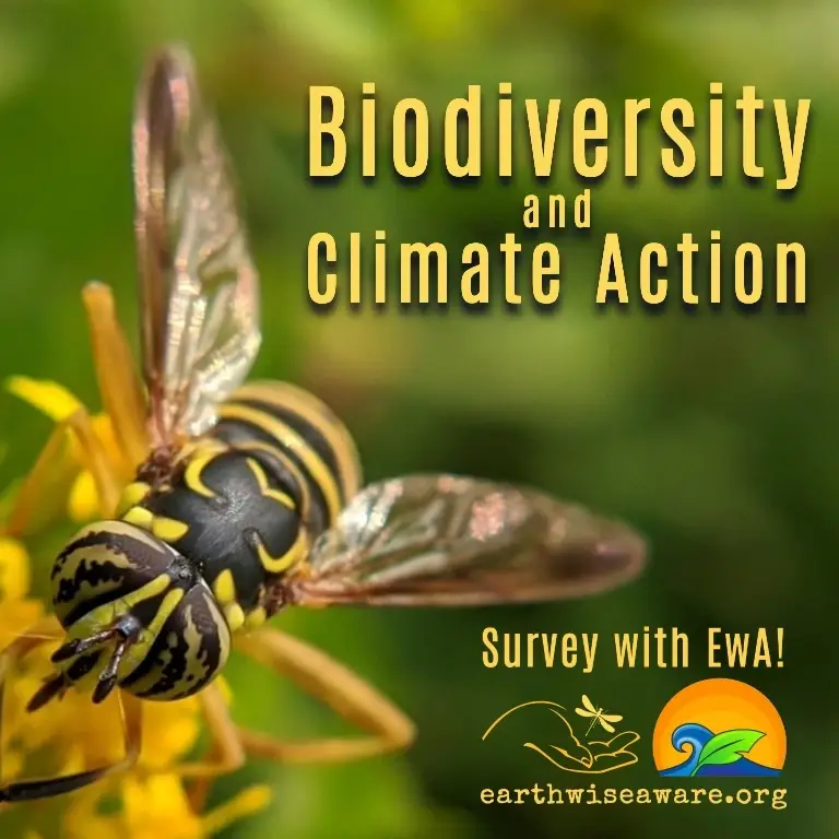 Horn Pond Biodiversity & Climate Citizen Scientist