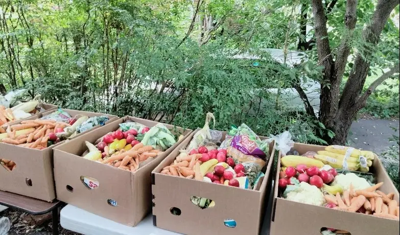 Food Equity Volunteer
