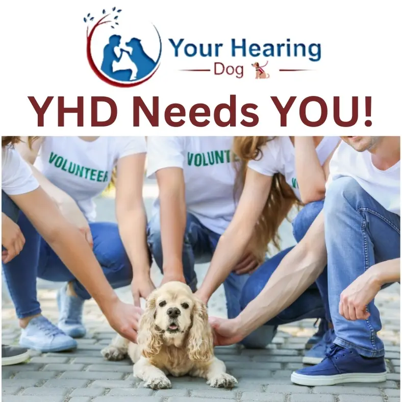 Donor Engagement Manager