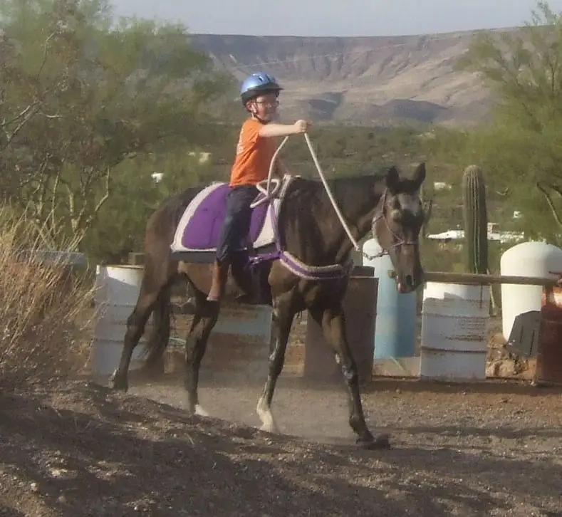 New River - Horse Leader/Side Walker Aide