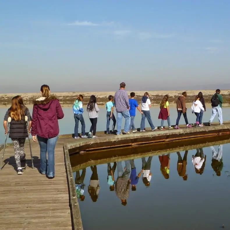 Board Member - San Francisco Bay Wildlife Society