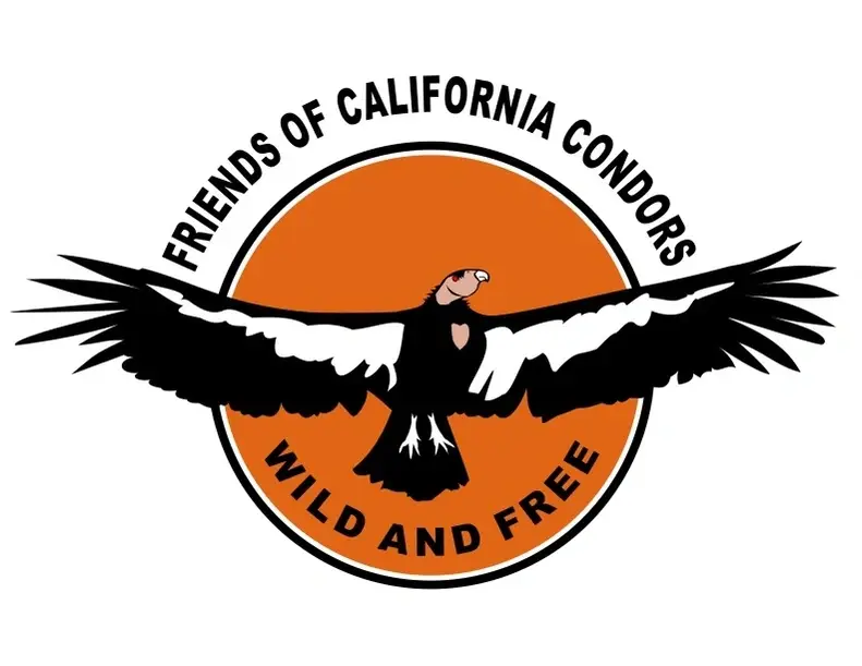Bitter Creek National Wildlife Refuge Roadside CA Condor Viewing Booth (multiple dates)