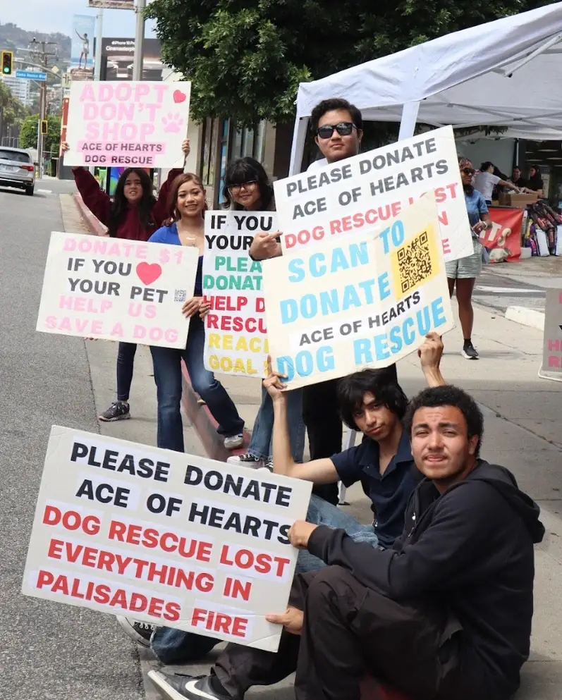 Dog Adoption Event 12/6