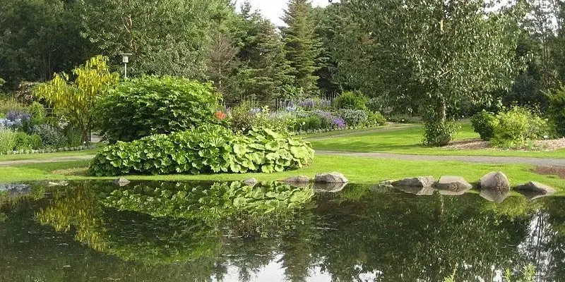 Support the conservation efforts of the Reykjavik Botanical Garden