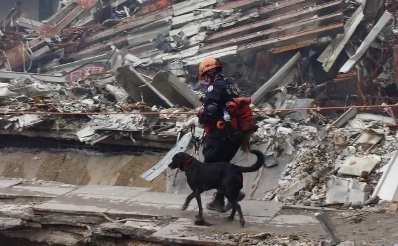 Data Collection & Fundraising Volunteer (1 Hour/Day)