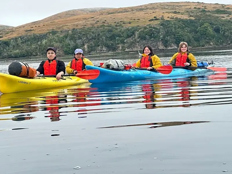 GirlVentures seeks Dynamic Board Members!