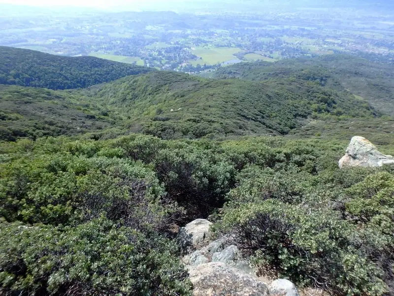 Foote Preserve Trail Clearing