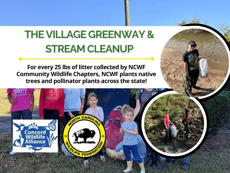 Village Greenway and Stream Clean Up