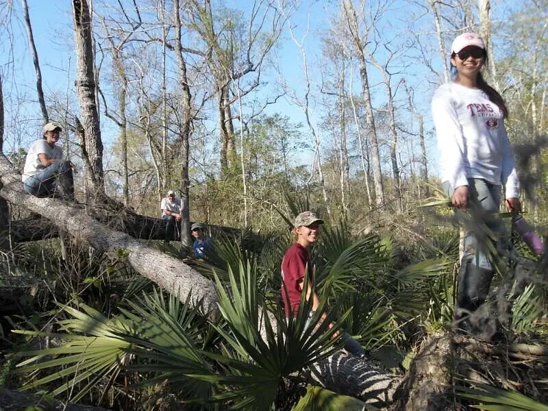 Lakes and Bayous at a Texas Wildlife Refuge, Liberty,TX
