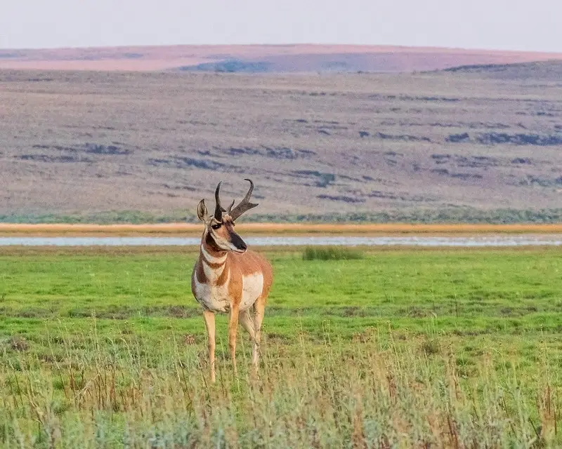 Boundary Sign Repair in Sheldon National Wildlife Refuge