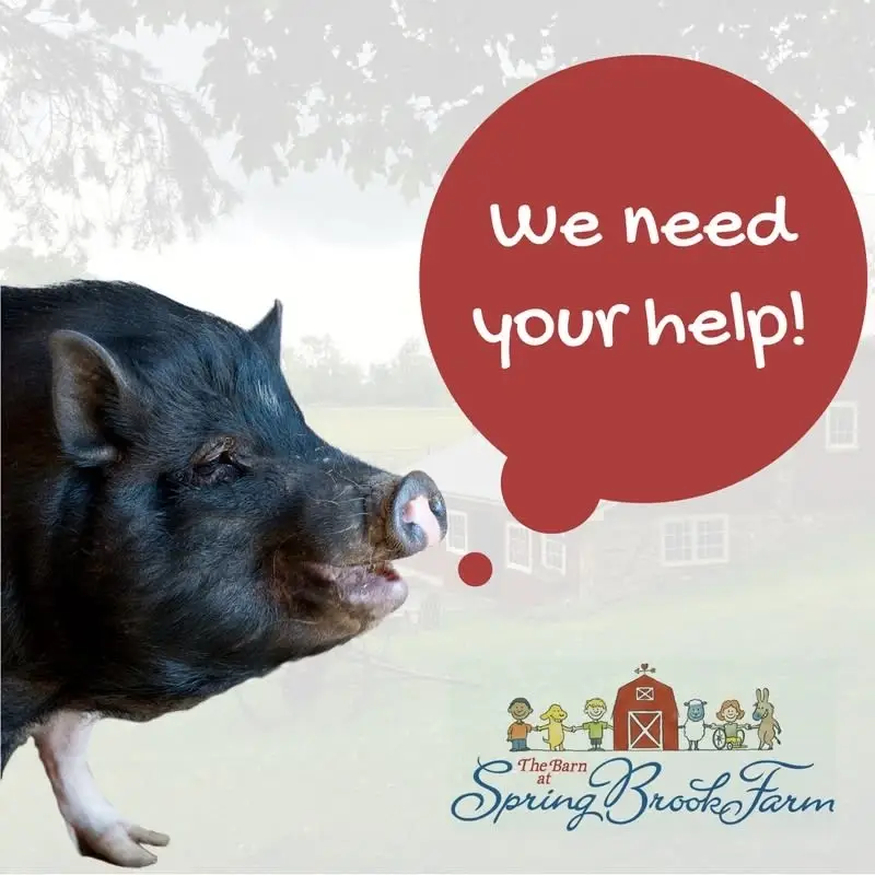 After School Volunteer for an Hour Weekdays with Special Needs Child!