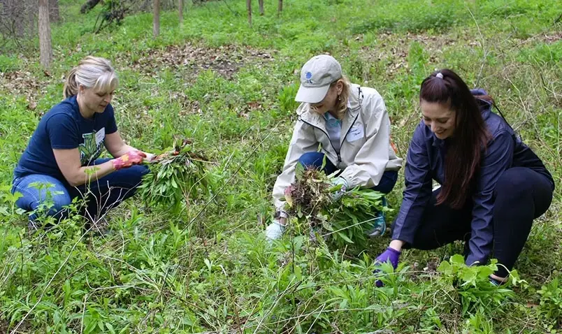 Join Us in Restoring our Land at Schlitz Audubon Nature Center