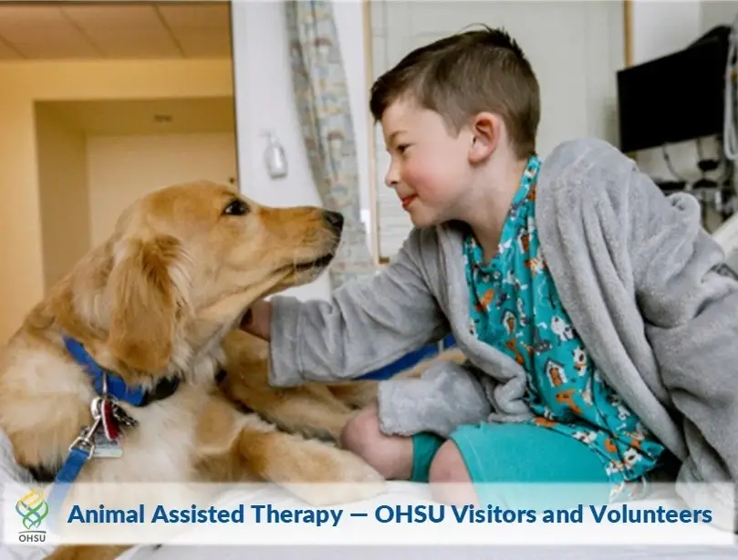 Animal Assisted Therapy Teams