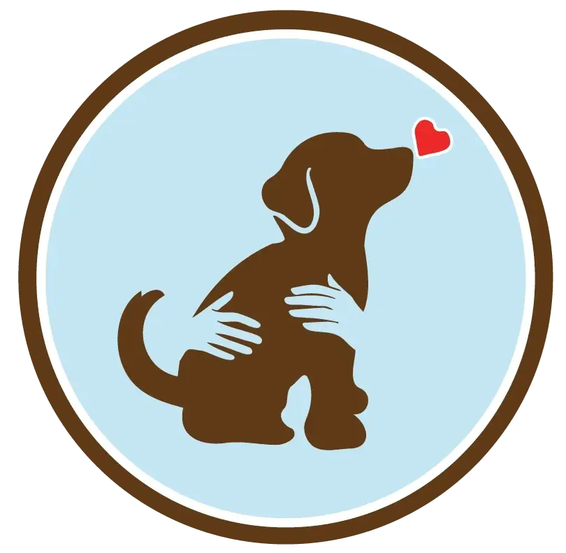 Fundraising Volunteer