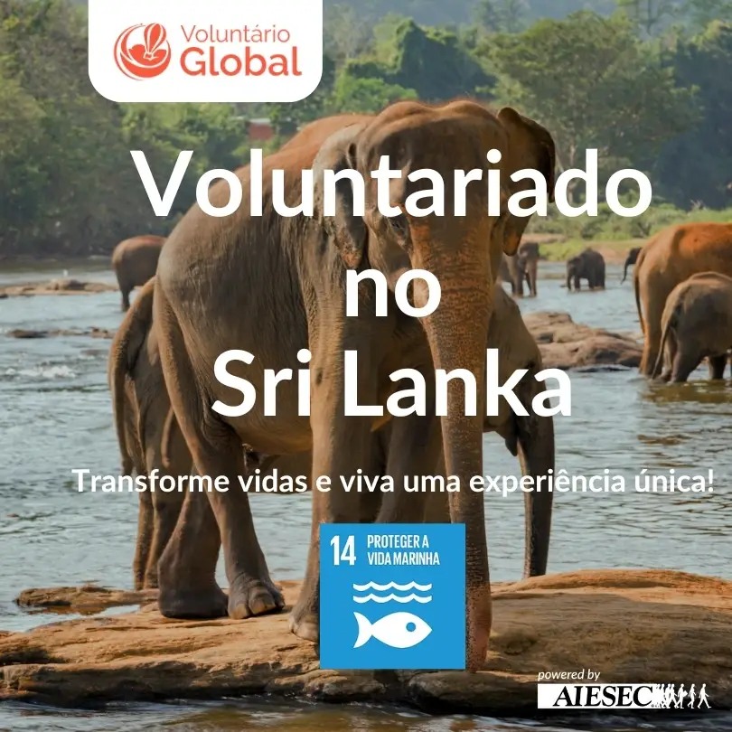 Intercâmbio Voluntário | Proteção da Vida Marinha no Sri Lanka | ODS 14