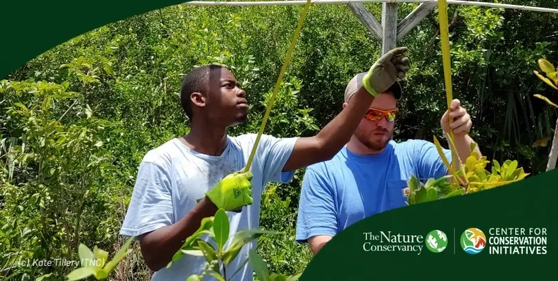 Blowing Rocks Preserve Maintenace Volunteer