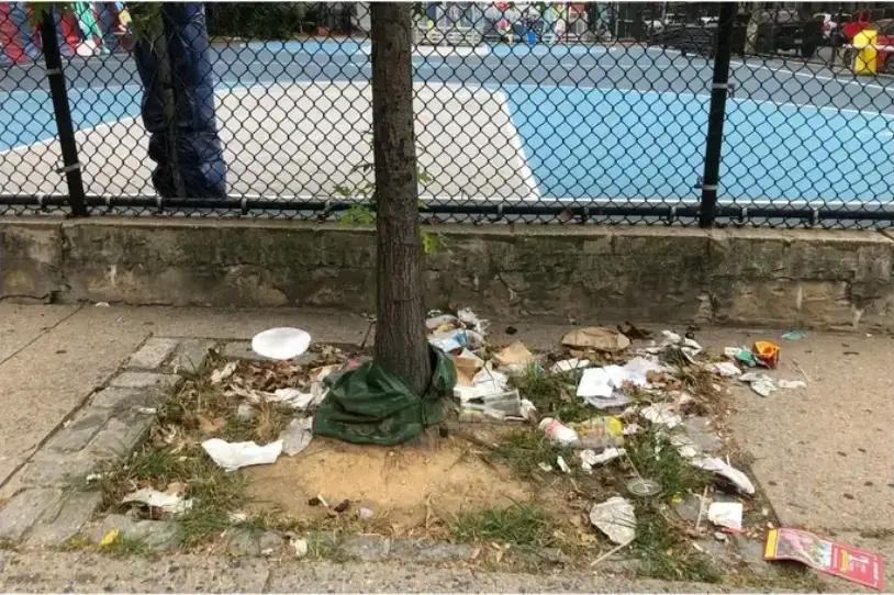 A city tree bed with debris and litter around it.