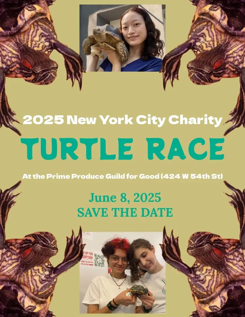 2025 NYC Charity Turtle Race: Call for Workshops & Presentations