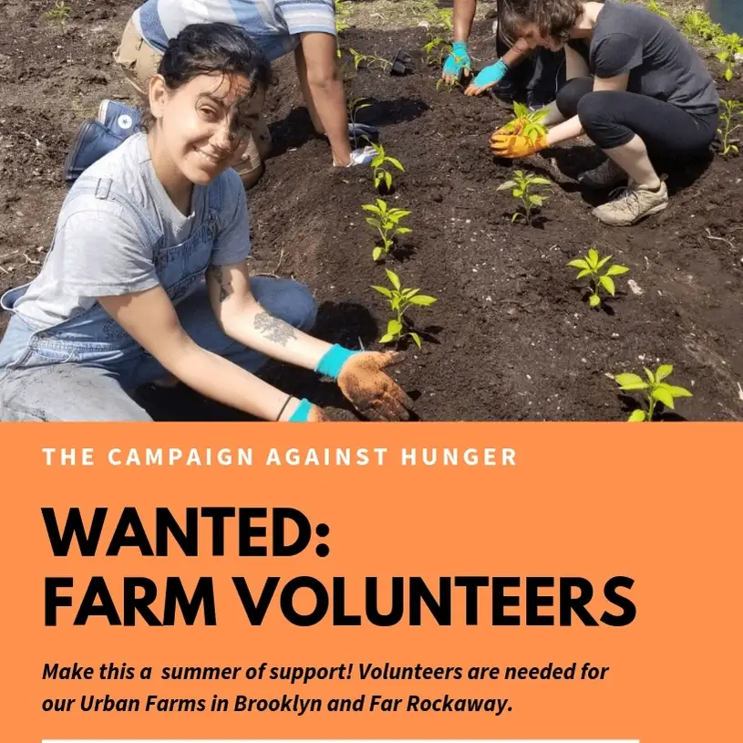 Farm volunteers needed