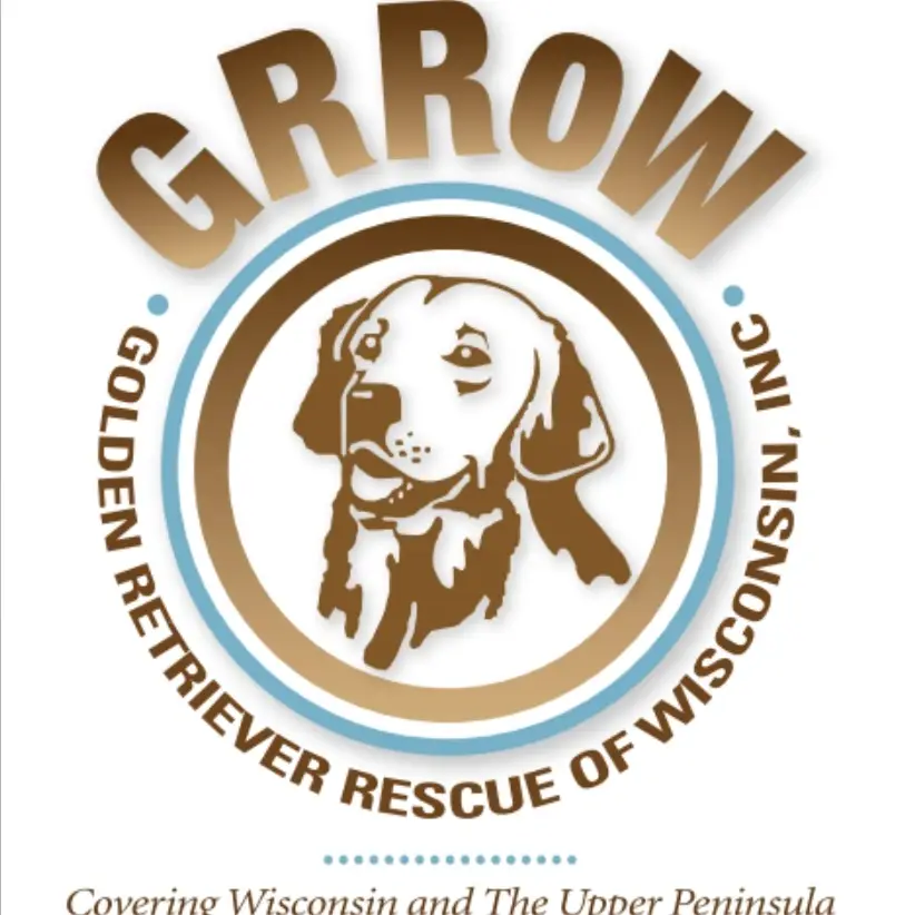 Golden Retriever Rescue Surrender Coordinator